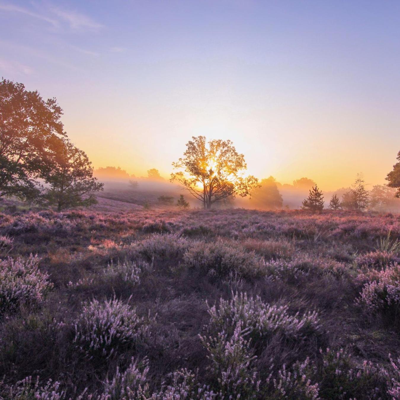Chalet In Het Bos - Gezin - Wandelaars - Digital Nomads - Hs Wifi - Fijnspar 108 Aan de Wolfsberg 외부 사진