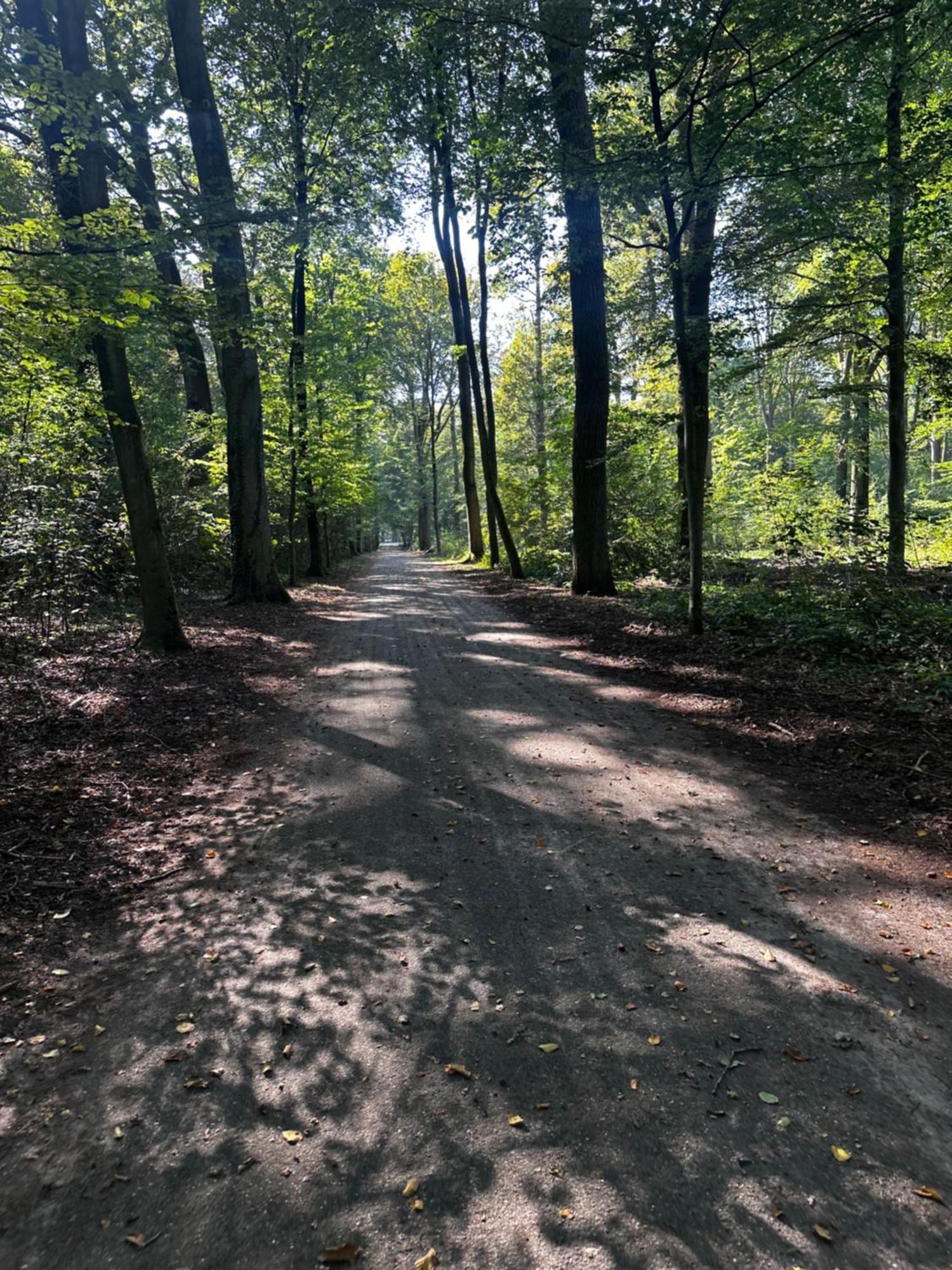 Chalet In Het Bos - Gezin - Wandelaars - Digital Nomads - Hs Wifi - Fijnspar 108 Aan de Wolfsberg 외부 사진